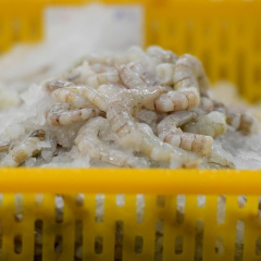 Trung Quốc ồ ạt mua tôm cá nhưng giảm ‘ăn hàng’ của Việt Nam
